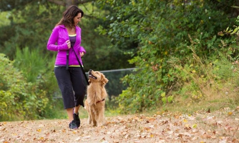 woman-walking-her-golden-retreiver-in-park edited